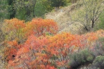 natural_environment_03