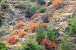 natural_environment_02