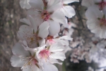 natural_environment_16
