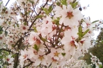 natural_environment_08