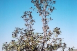 natural_environment_06