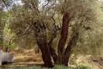 natural_environment_01