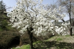 natural_environment_09