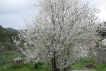 natural_environment_15