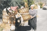 products_agricultural_01