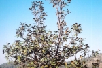 natural_environment_14